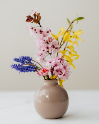 Flower plant
